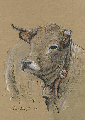Cow Head Paintings Fine Art America