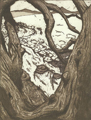 Wall Art - Drawing - Crane Creek Reg Park by Erik Paul
