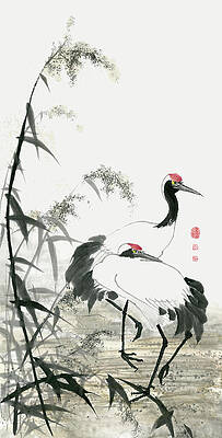 15+ Red Crowned Crane Art