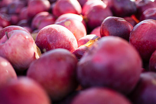 Crate of apples by Stephen Mumford