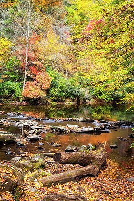 Wall Art - Photograph - Creek in the Autumn by Jill Lang