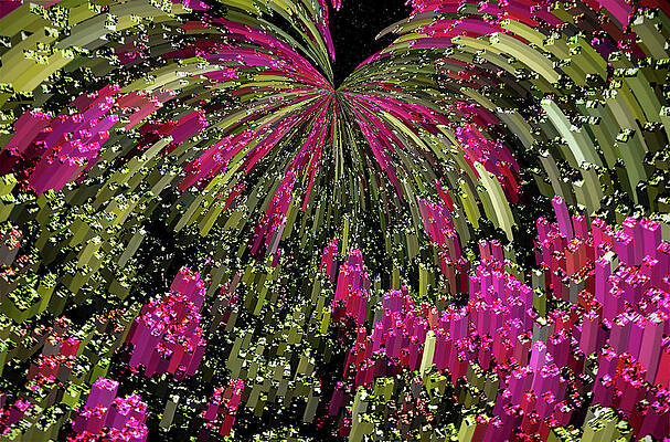 Crepe Myrtle Abstract by Thomas Fields Crepe Myrtle Abstract by Thomas Fields
