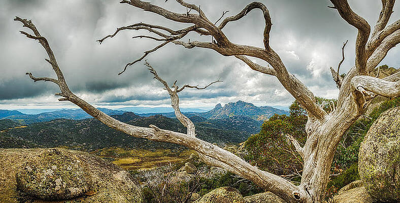 Cresta Valley - Mt Buffalo by Mark Lucey Cresta Valley - Mt Buffalo by Mark Lucey