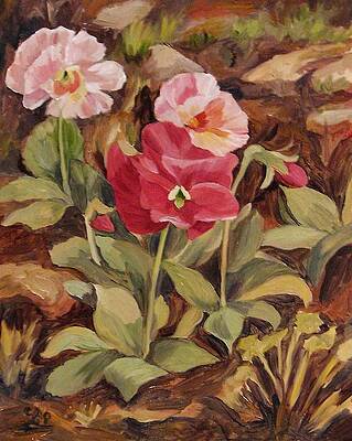 Crimson Pansy by Cheryl Pass Crimson Pansy by Cheryl Pass