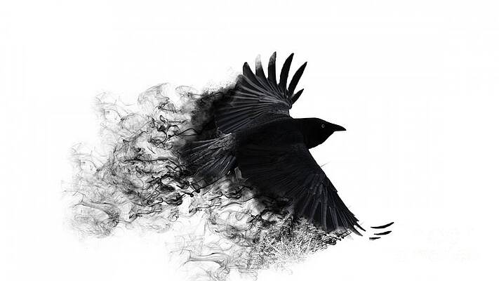 https://render.fineartamerica.com/images/images-profile-flow/400/images/artworkimages/mediumlarge/1/crow-wallpaper-andy-maryanto.jpg