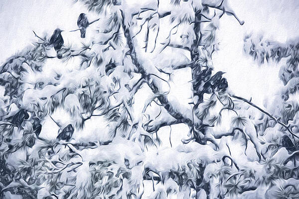 Crows In Snow by Becky Titus Crows In Snow by Becky Titus
