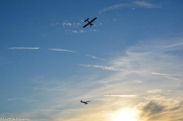 Wall Art - Photograph - Cub and Cub by Matt Abrams