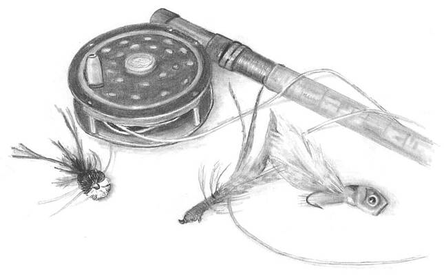 Fly Fishing Rod Drawings for Sale - Fine Art America