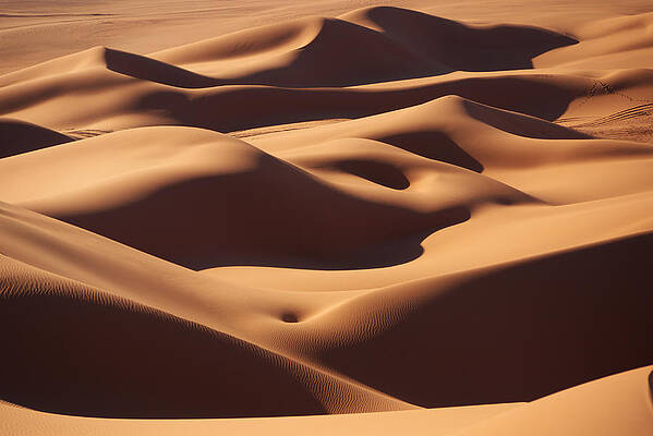 Curves by Ivan Slosar Curves by Ivan Slosar