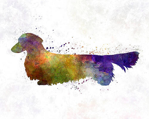 ORIGINAL Canvas Painting Kimpressions Dachshund Wiener DOG Art