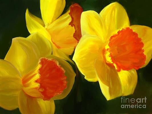 Daffodils In The Sun by Roxy Riou Daffodils In The Sun by Roxy Riou