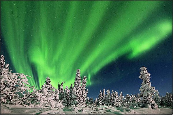 Wall Art - Photograph - Dancing Lights by Erika Fawcett