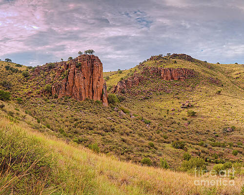 Wall Art - Photograph - Davis Mountains State Park Rocky Outcrop from the Indian Lodge Trail - Jeff Davis County West Texas by Silvio Ligutti