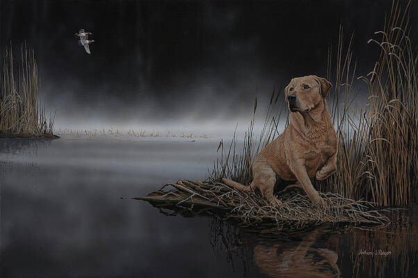 Daybreak Arrival by Anthony J Padgett Daybreak Arrival by Anthony J Padgett