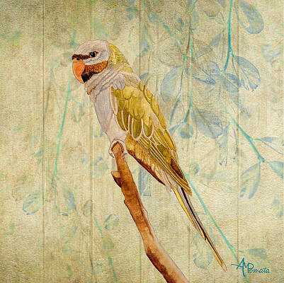 Assam Paintings Fine Art America