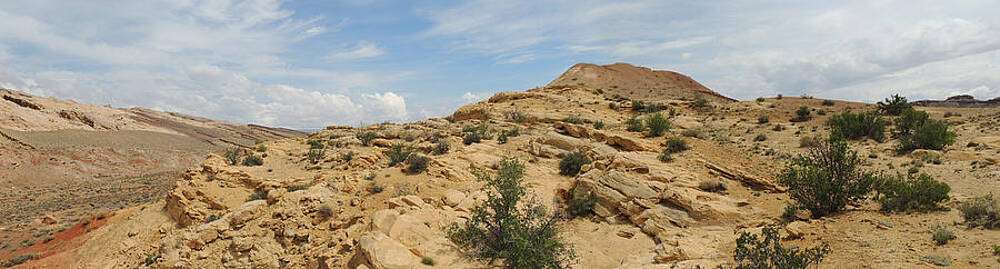 Desert Reef Vista by Andrew Chambers Desert Reef Vista by Andrew Chambers