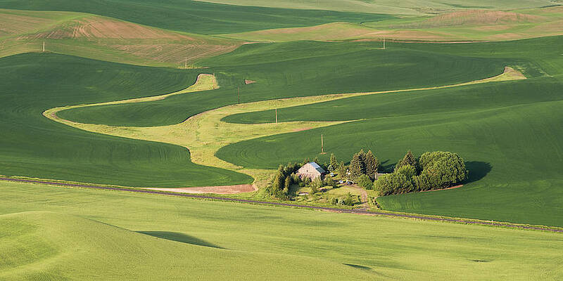 Design in the Palouse by Daniel Ryan Design in the Palouse by Daniel Ryan