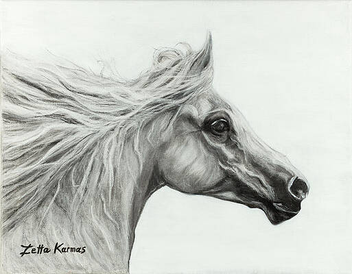 Arabian horse Art Print by Angel | Society6