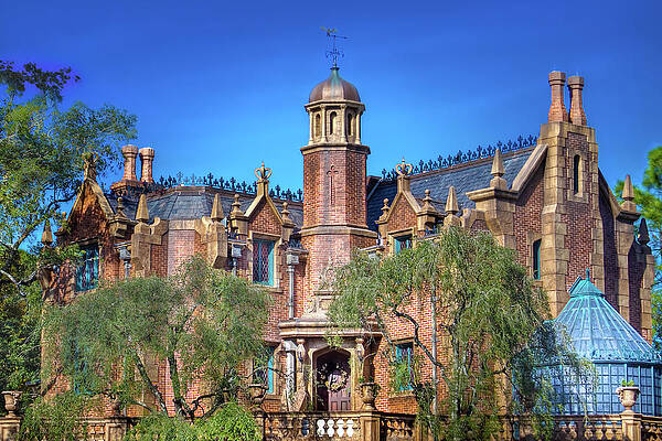 Wall Art - Photograph - Disney World Haunted Mansion  by Mark Andrew Thomas