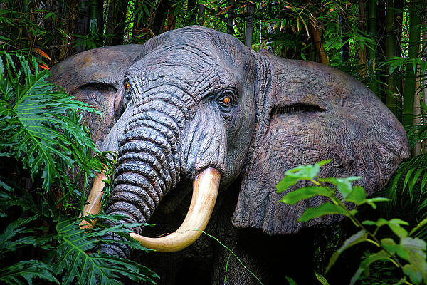 Wall Art - Photograph - Disney's Jungle Cruise Elephant by Mark Andrew Thomas