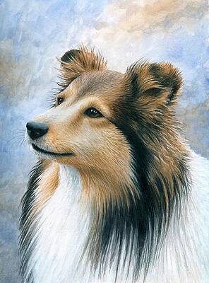 Sheltie Paintings (Page #2 of 5) | Fine Art America