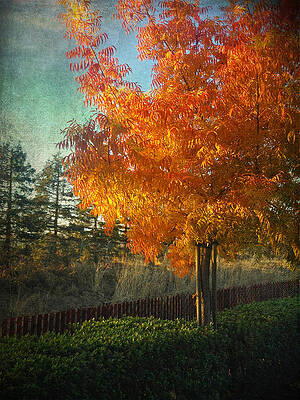 Wall Art - Photograph - Don't Ever Let Go by Laurie Search