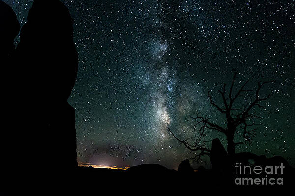 Double Arches with Lone Tree Silhouette Under the Milky Way. by Jon Ma