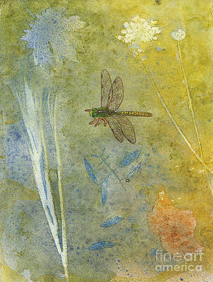 Dragonfly with Plant Impressions by Conni Schaftenaar Dragonfly with Plant Impressions by Conni Schaftenaar