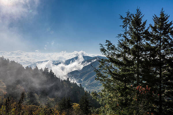 Dramatic Morning Fog in the Smokies by Donald Spencer Dramatic Morning Fog in the Smokies by Donald Spencer