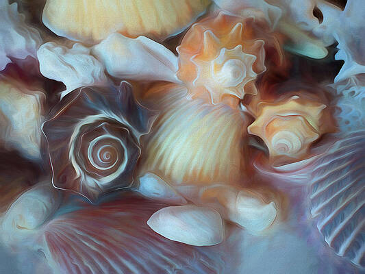 Wall Art - Mixed Media - Dream of Seashells by Lynda Lehmann