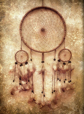 Dreamcatcher by Wim Lanclus Dreamcatcher by Wim Lanclus
