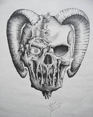 Dude by William Pullaro Jr Dude by William Pullaro Jr