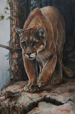 Mountain Lion Rock Mountain Lion Painted on Stone Wildlife Painting Acrylic Painting