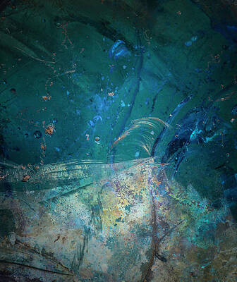 Earth Portrait 001-88 by David Waldrop Earth Portrait 001-88 by David Waldrop