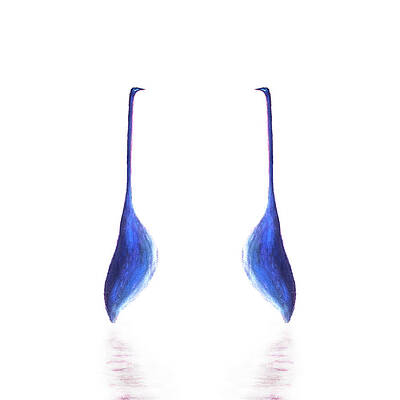 Egret on White Mirrored Square by Gecko Joy Egret on White Mirrored Square by Gecko Joy