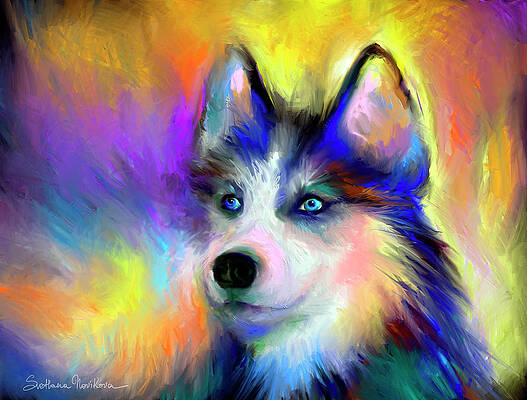 Siberian Husky Paintings Fine Art America