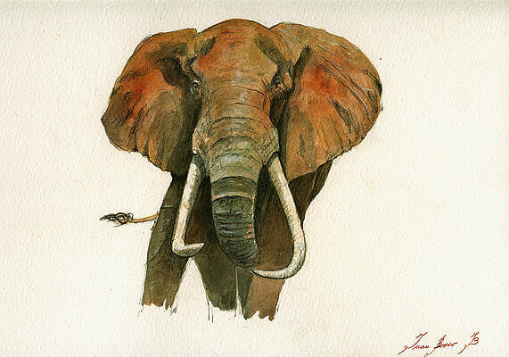 paintings of elephants