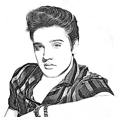 Wall Art - Drawing - Elvis Presley in Pen and Ink by Doc Braham