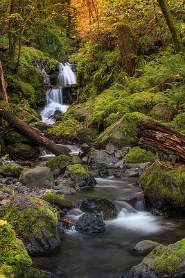 Emerald in Autumn by Jon Ares Emerald in Autumn by Jon Ares