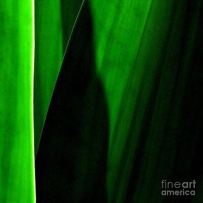 Emerald by James Temple Emerald by James Temple