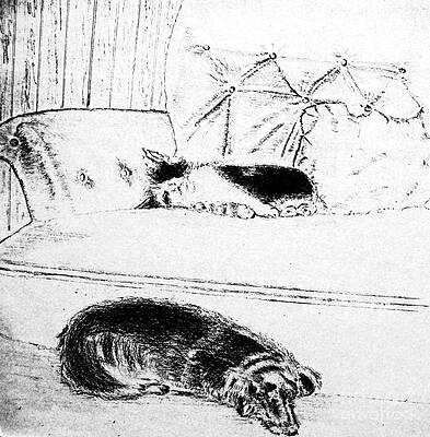 Cat Family Drawings (Page #2 of 4) | Fine Art America