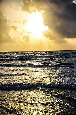 End of the Season Padre 59 by Mez