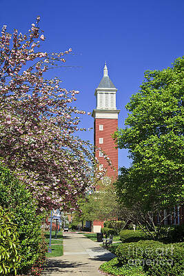 Wall Art - Photograph - Evans Clock Tower at Queens University by Jill Lang
