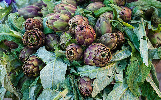 Eventually artichokes by Philippe Taka Eventually artichokes by Philippe Taka