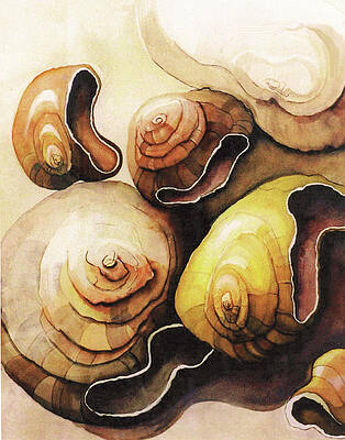 Wall Art - Painting - Evolving Shells by Lynda Lehmann