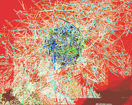 Exploding Nest by Joanna  Katz