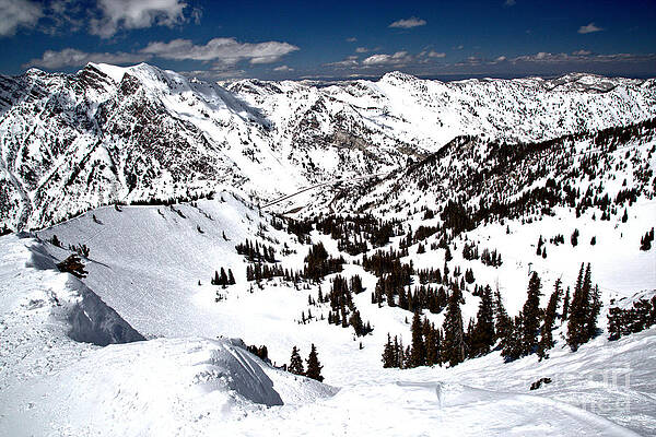 Wall Art - Photograph - Extreme Skiing At Great Scott by Adam Jewell