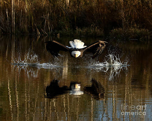 Eyes on the prize by Heather King Eyes on the prize by Heather King