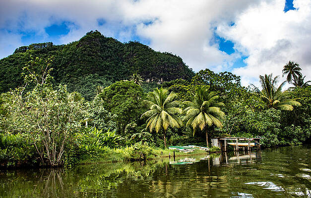 Faaroa River 2 by Martin Naugher Faaroa River 2 by Martin Naugher