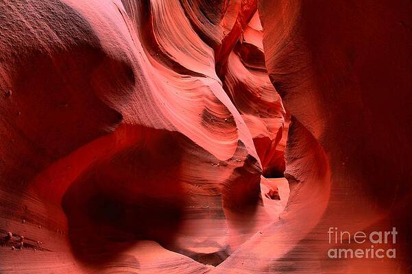 Wall Art - Photograph - Faces In Waterhole by Adam Jewell